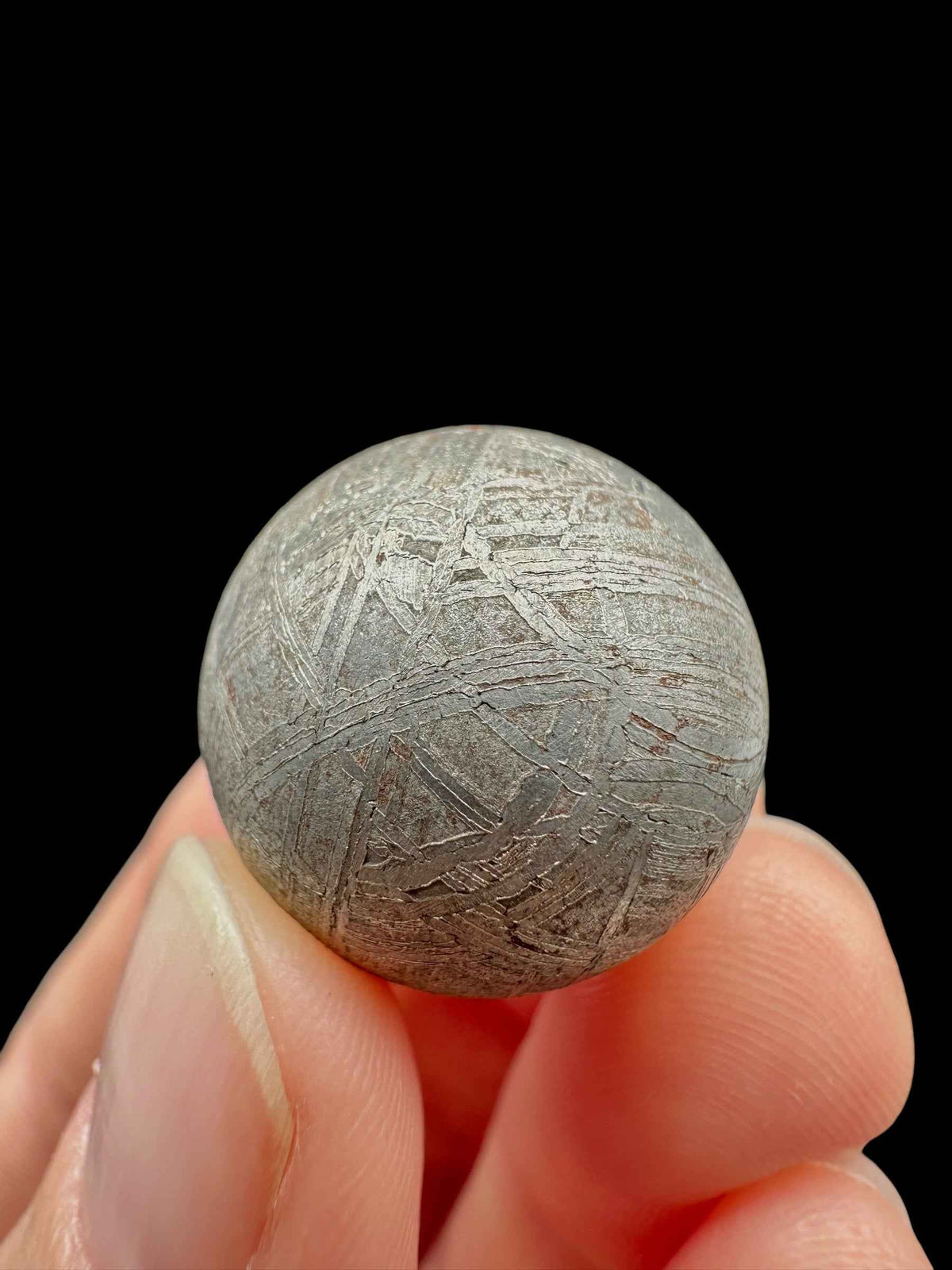 Meteorite Muonionalusta, sfera da 2 cm – Norrbotten, Sweden - MEMO162