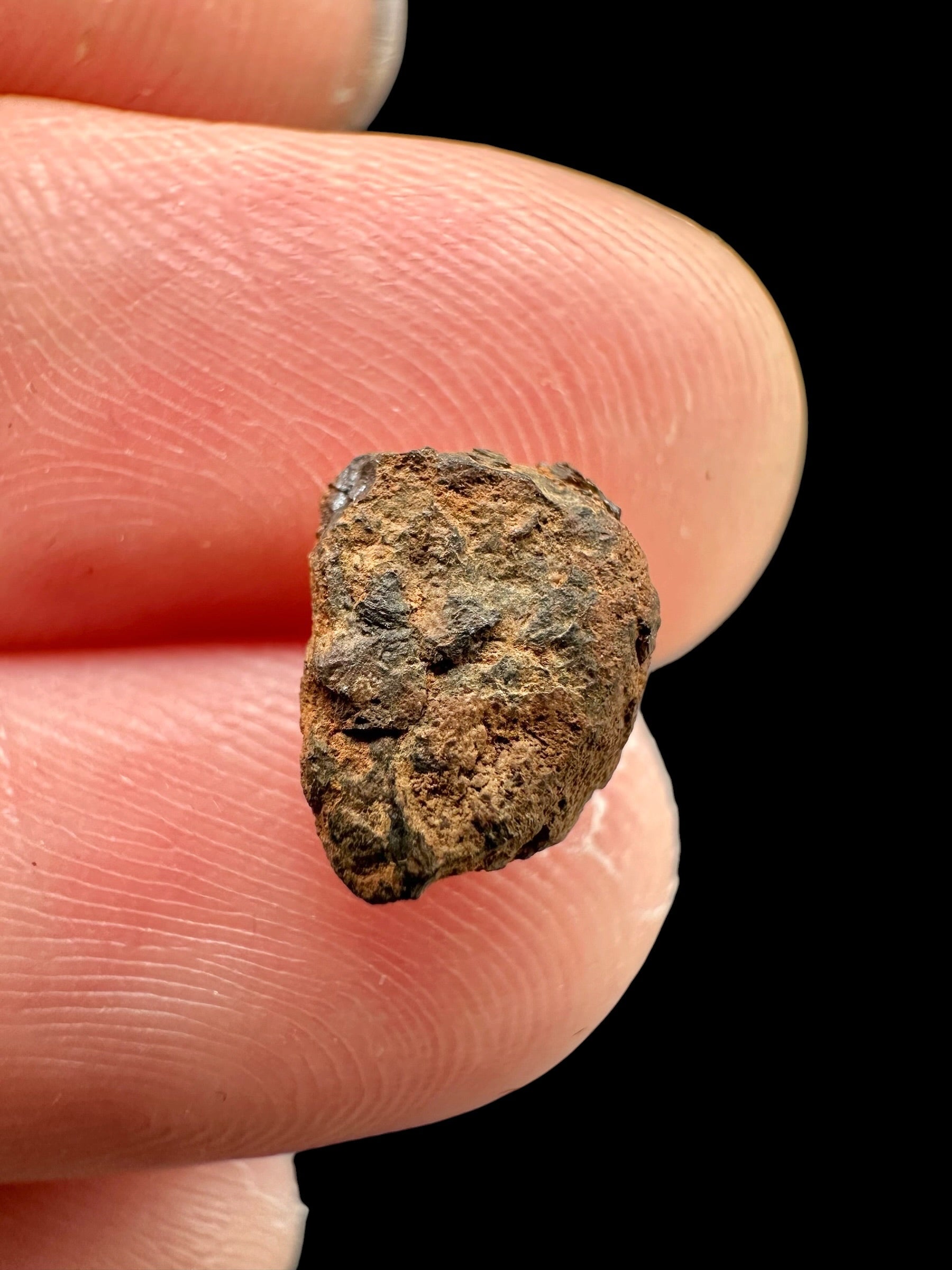 Meteorite Boxhole 0,6g – Australia - MEBX05