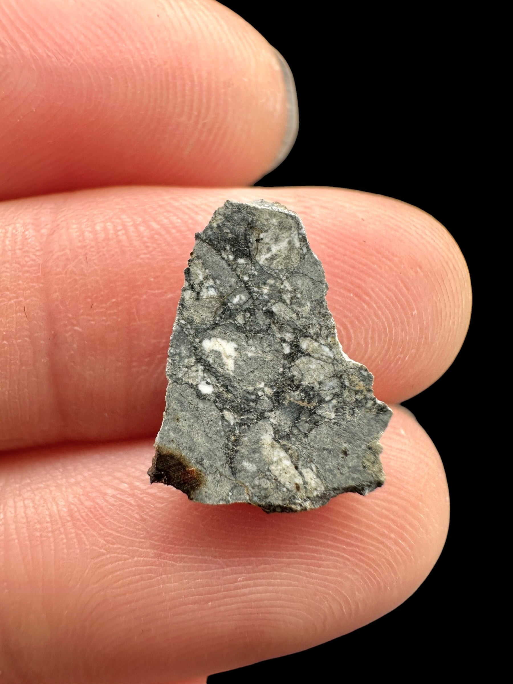 Lunar meteorite Gadamis 003 – 0,6g – Libya - MEGD79