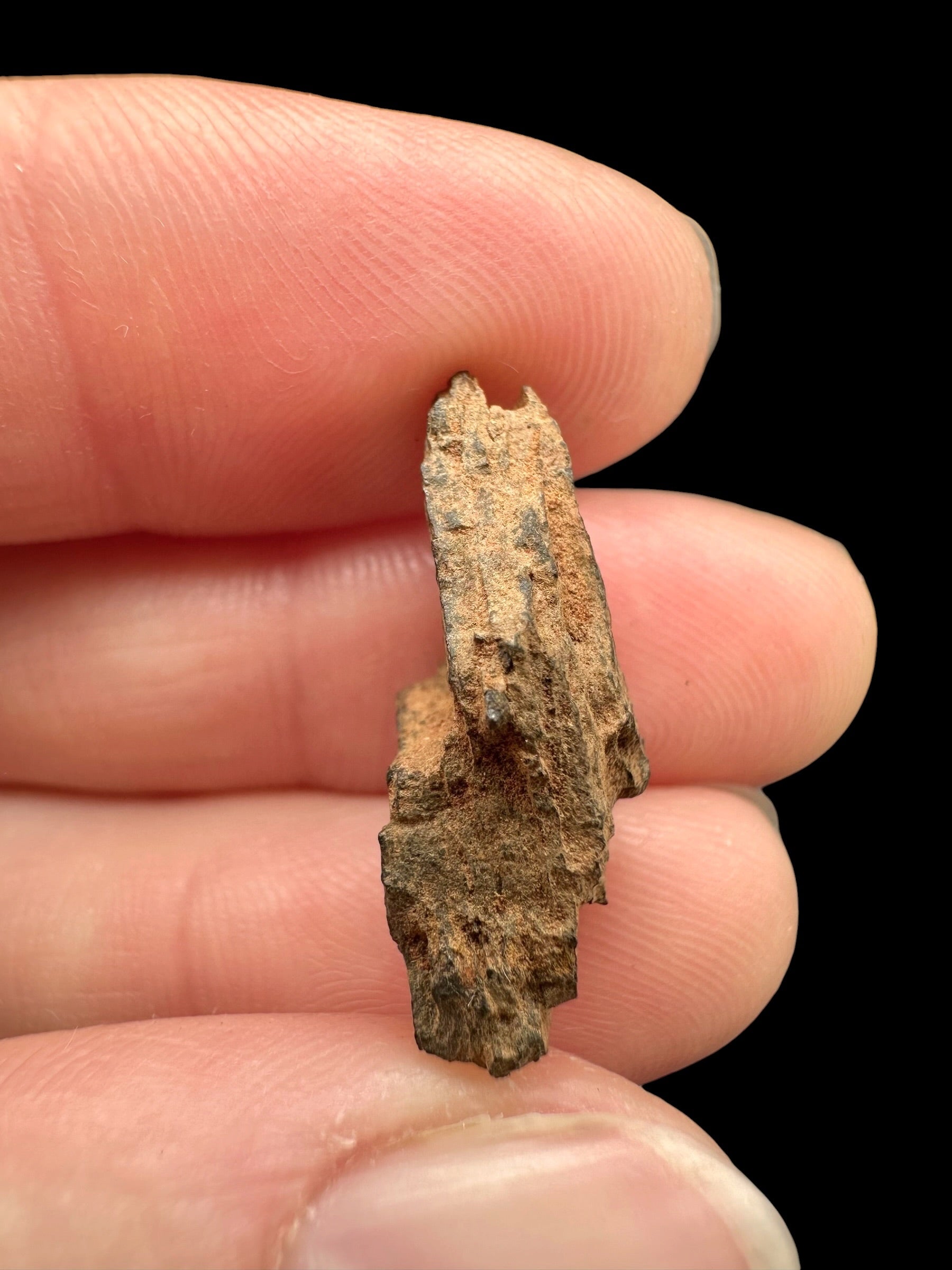 Boxhole Meteorite 2,8g – SHALE – Heavily Weathered Fragment – Australia - MEBX17