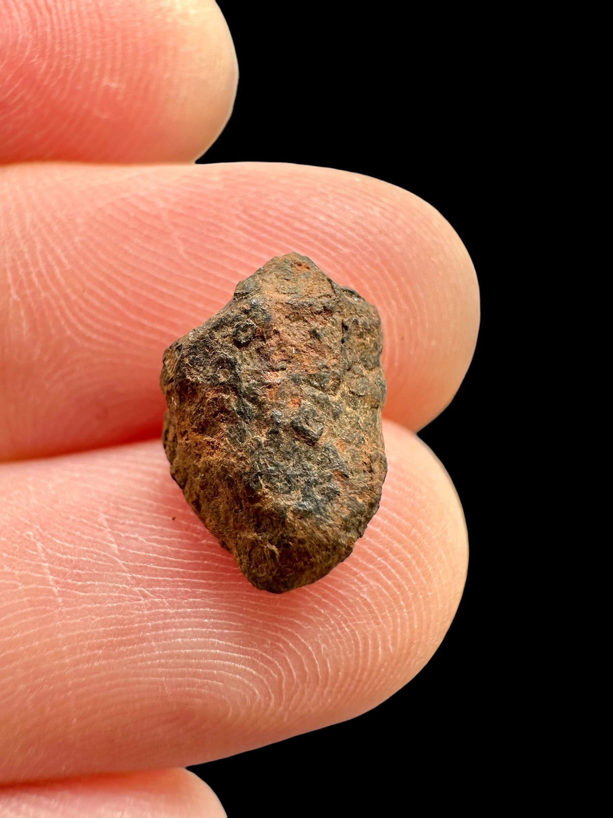 Boxhole Meteorite – Set of Meteorite, Weathered Fragment and Impact Glass – Australia - MEBX19