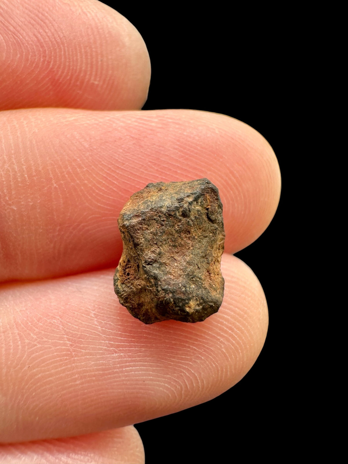 Boxhole Meteorite – Set of Meteorite, Weathered Fragment and Impact Glass – Australia - MEBX20