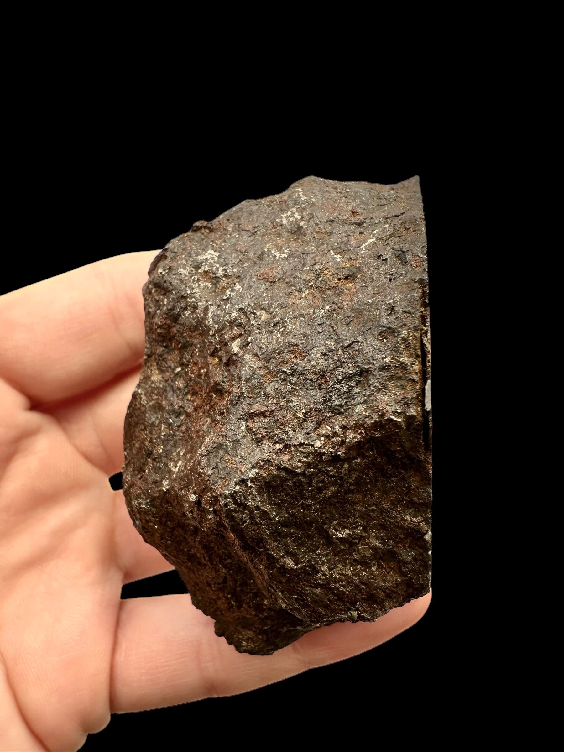 Meteorite Morasko 573,5g – Poland - MEMR04