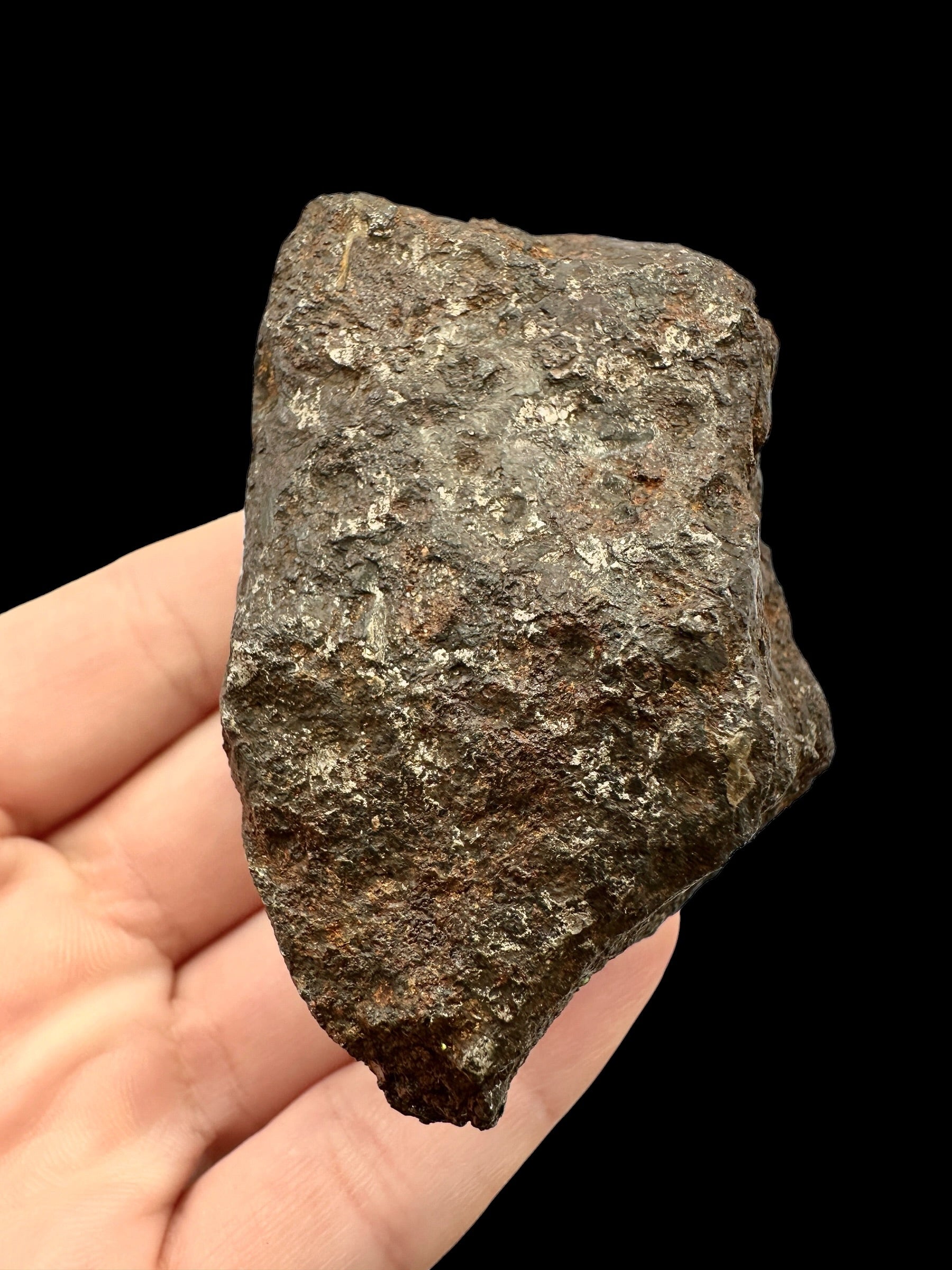 Meteorite Morasko 573,5g – Poland - MEMR04