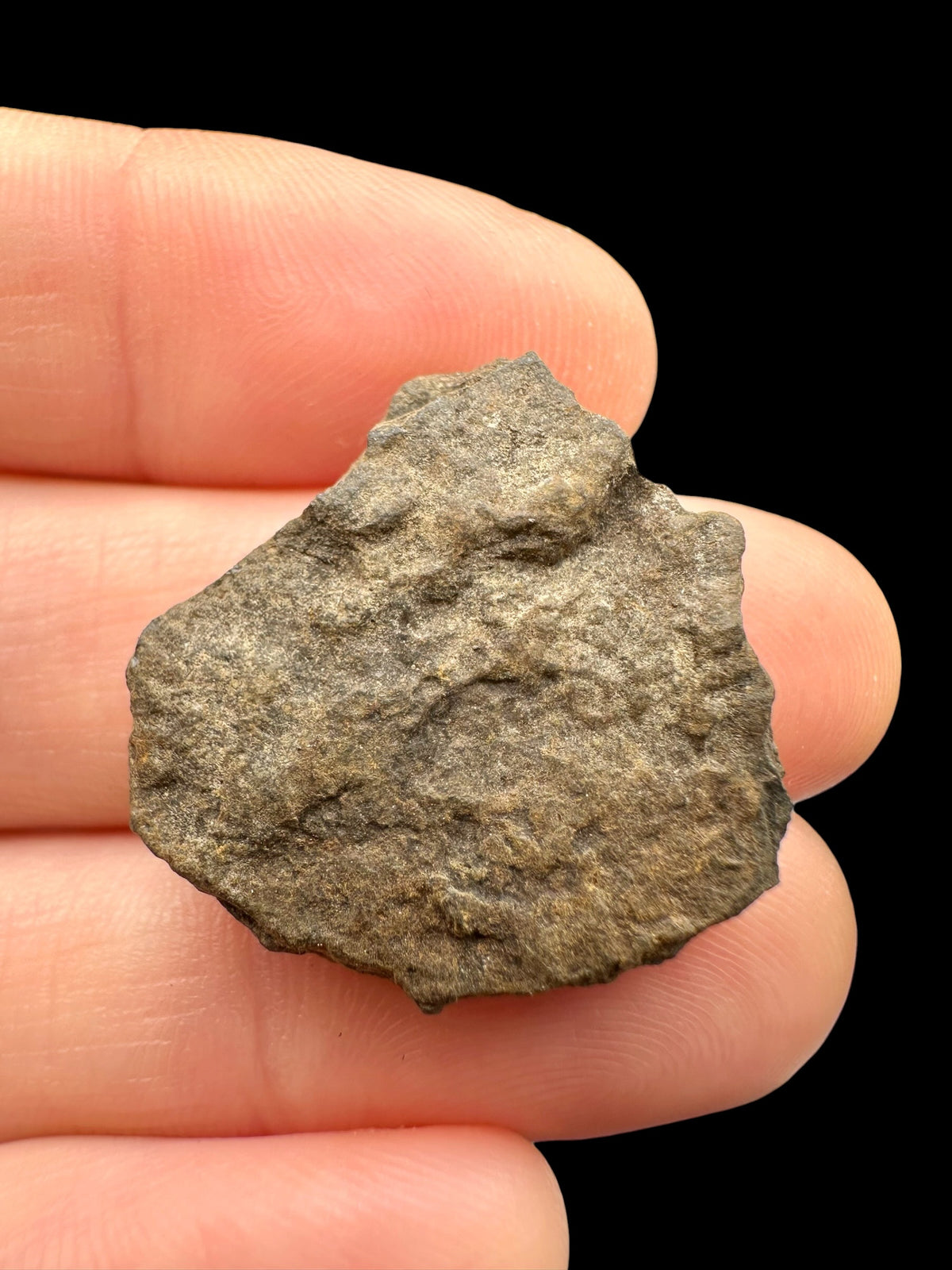 Meteorite Bendegó 5g – Brazil