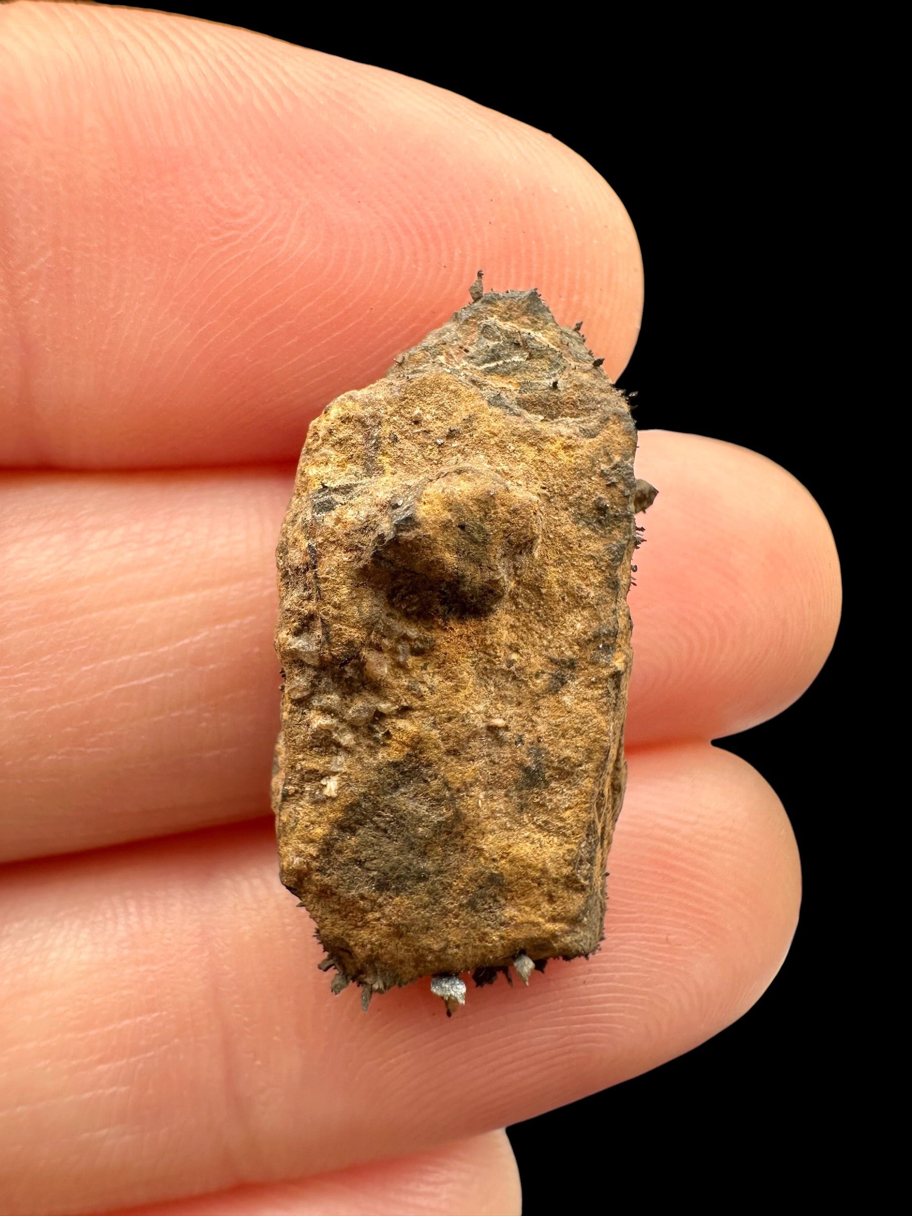 Meteorite Bendegó 3,1g – Brazil