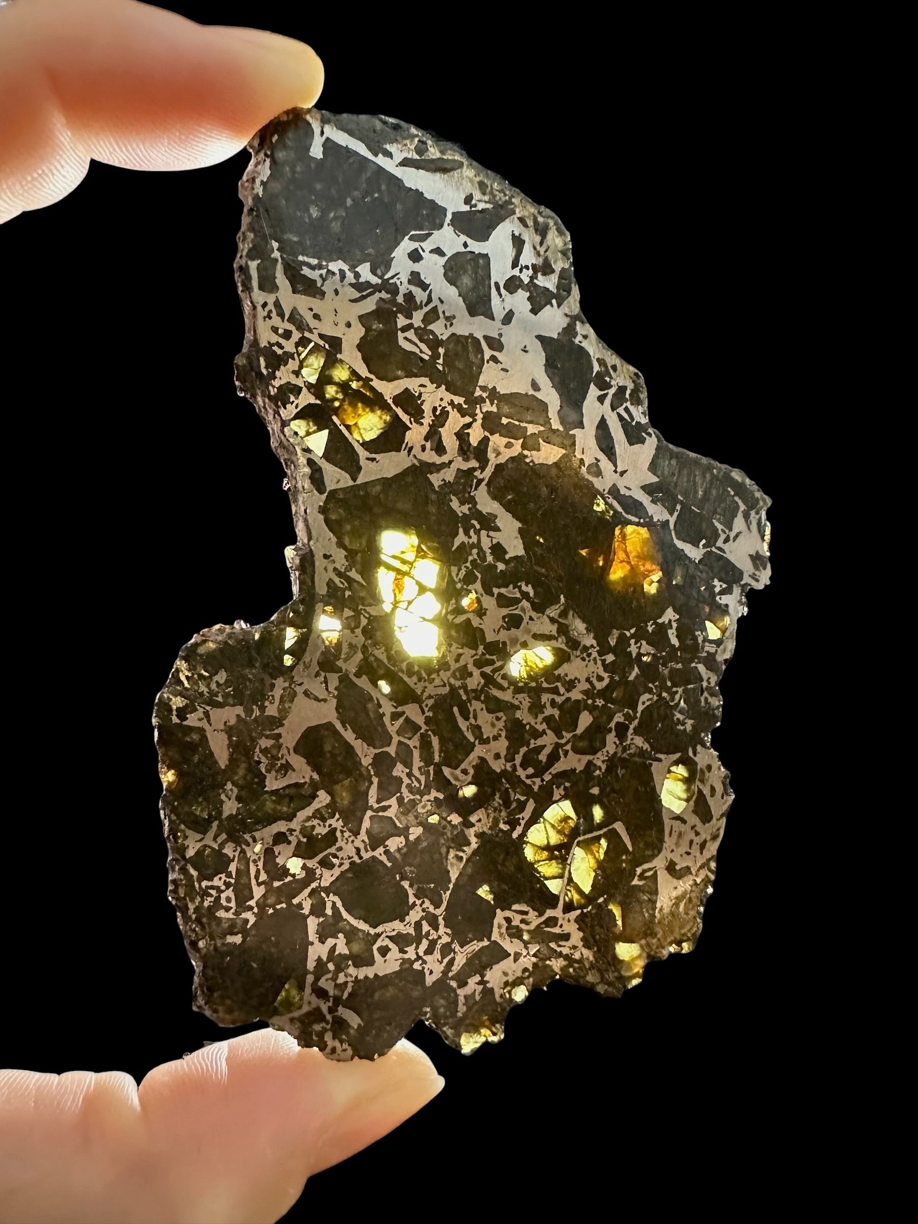 Meteorite Admire 46,8g – USA - MEAR01
