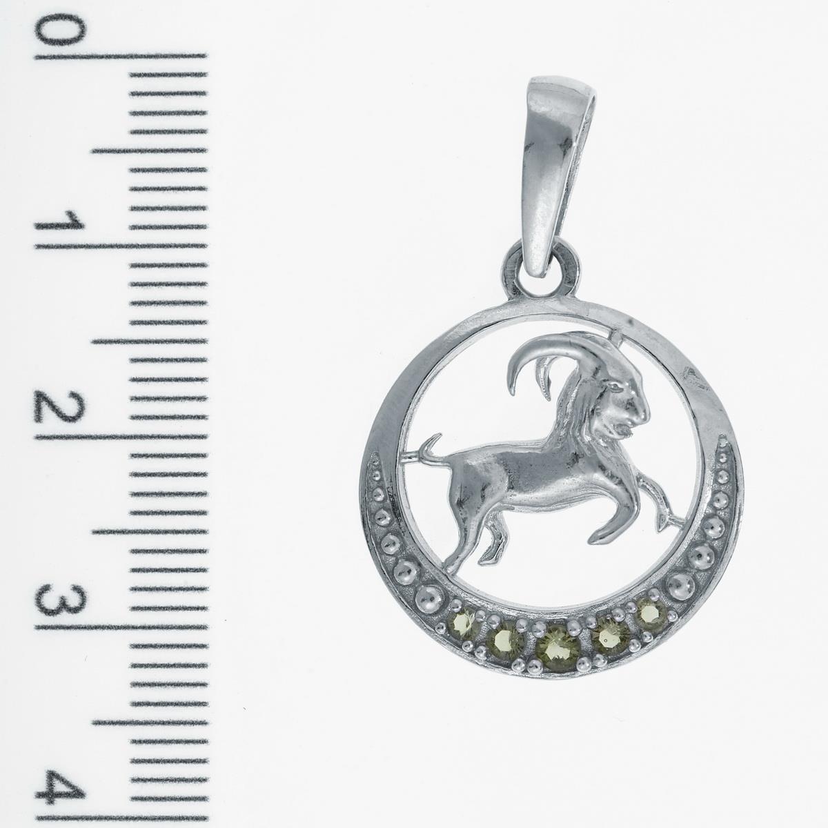 Silver zodiac sign - Capricorn