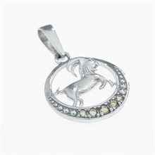 Silver zodiac sign - Capricorn