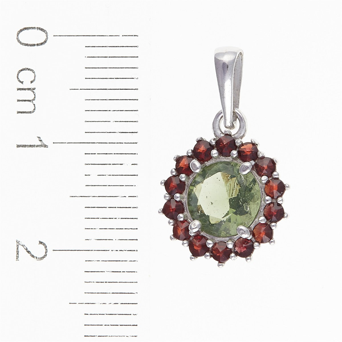 Silver pendant with moldavite and garnets 1073