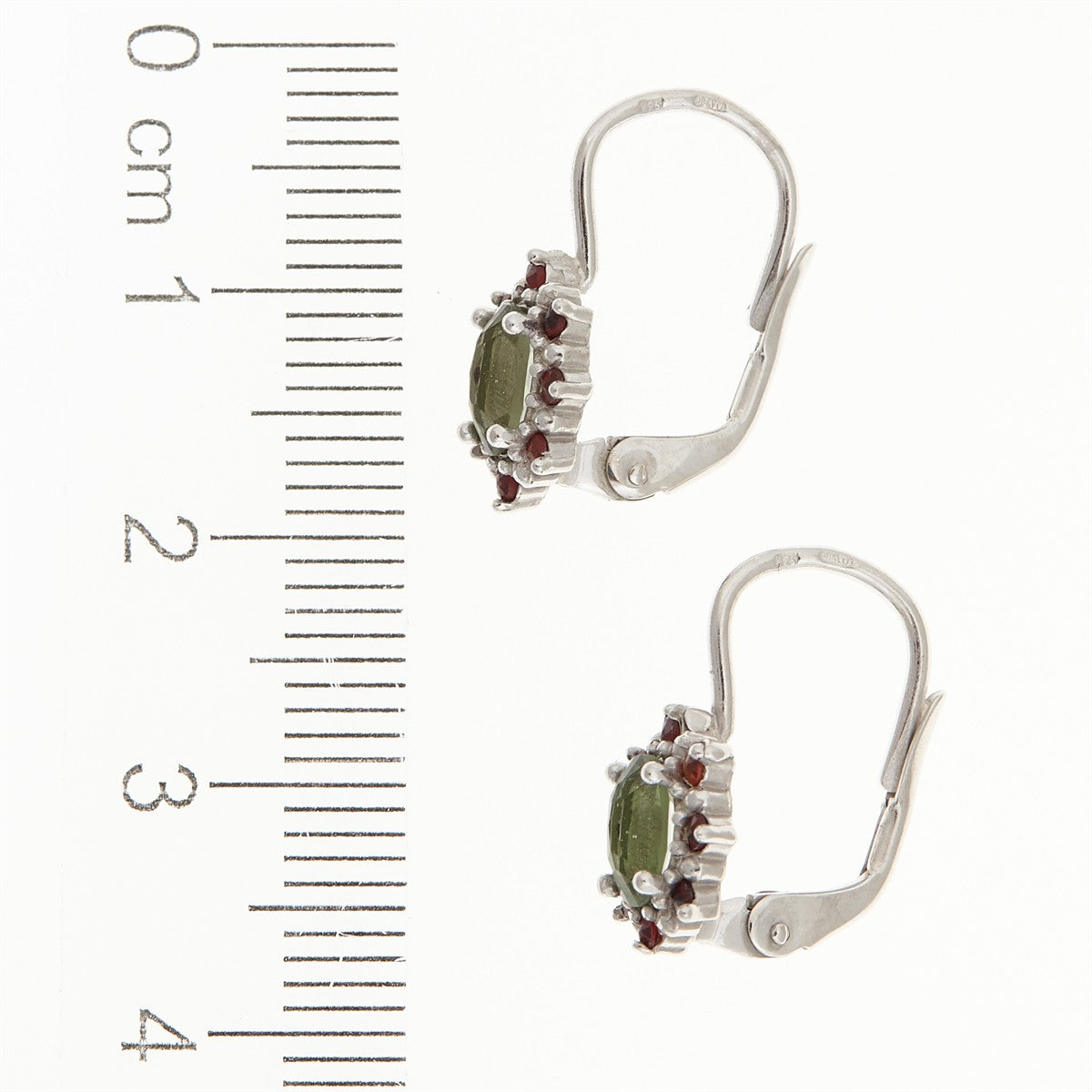 Silver earrings with moldavite and garnets 2001-4