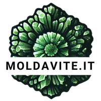 Moldavite.it