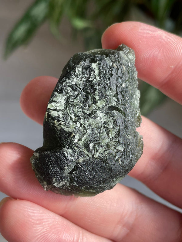 Moldavite Jankov di 31.72g