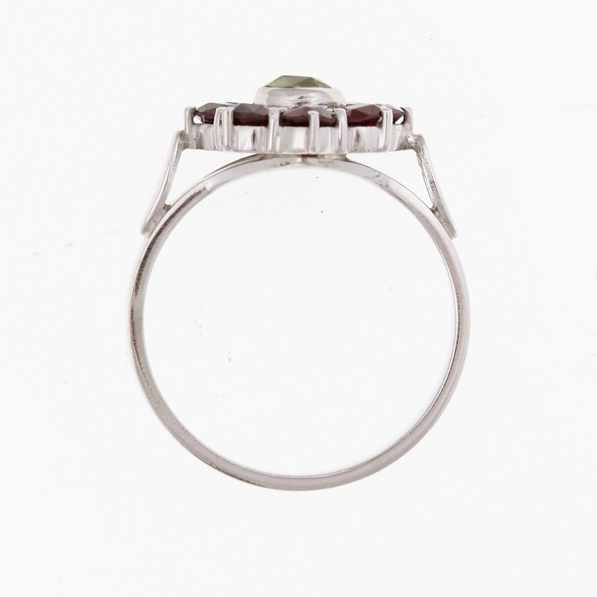 Silver ring with moldavite and garnets 9013