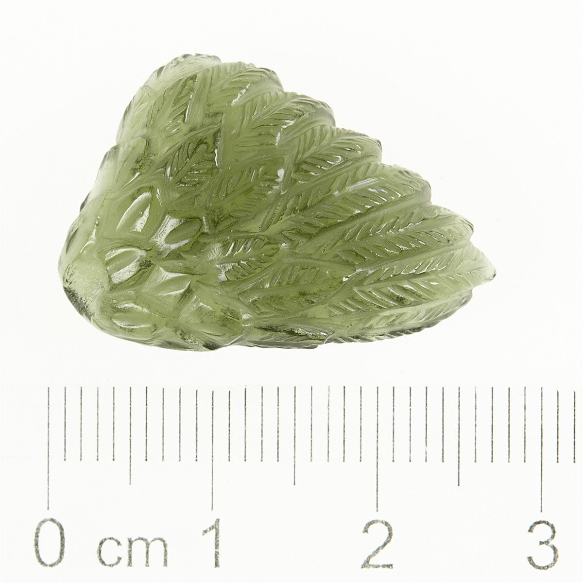 Moldavite in the shape of a wing - glyptic MF26-031