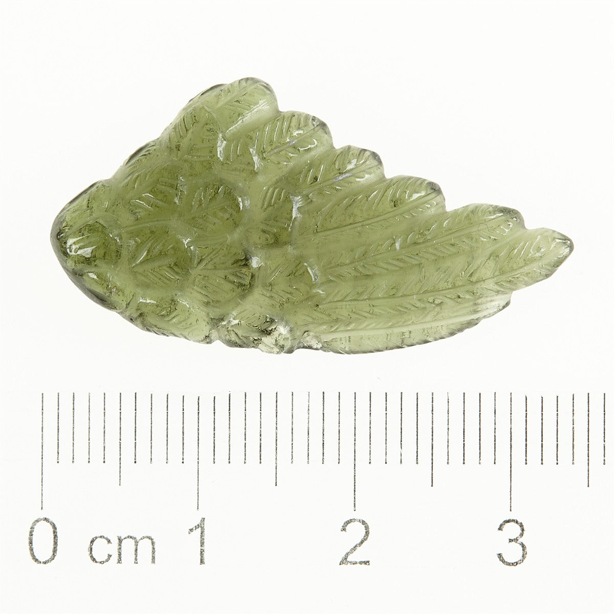 Moldavite in the shape of a wing - glyptic MF26-0312