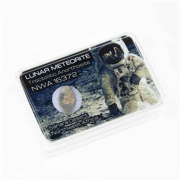 Lunar meteorite - NWA16372