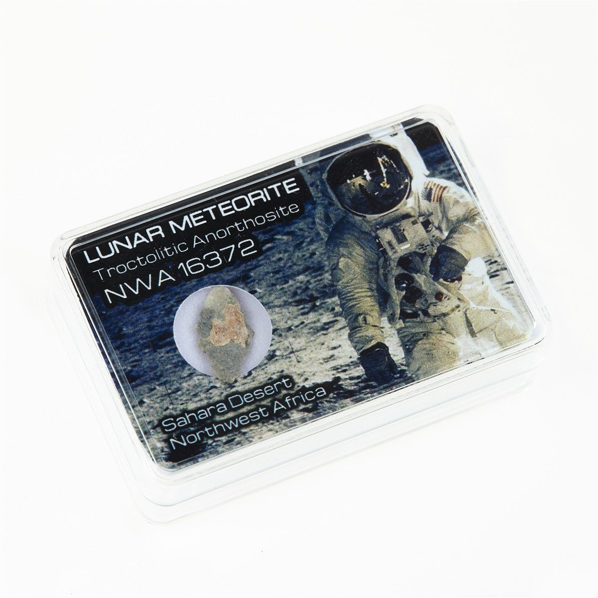 Lunar meteorite - NWA16372