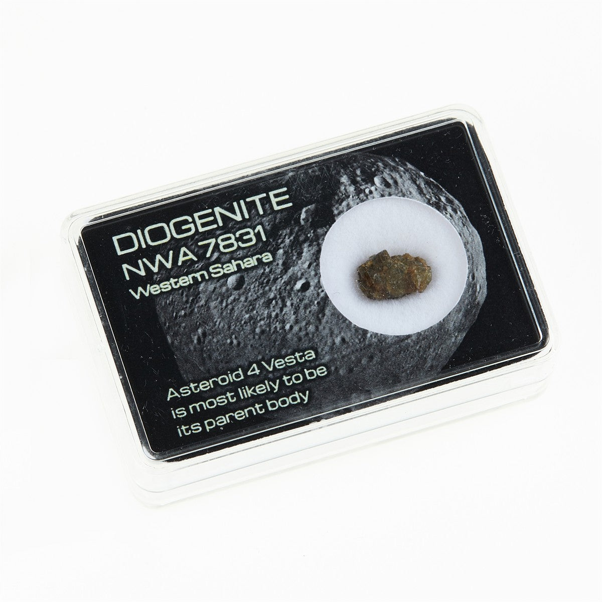 Meteorite - Diogenite Met-NWA7831
