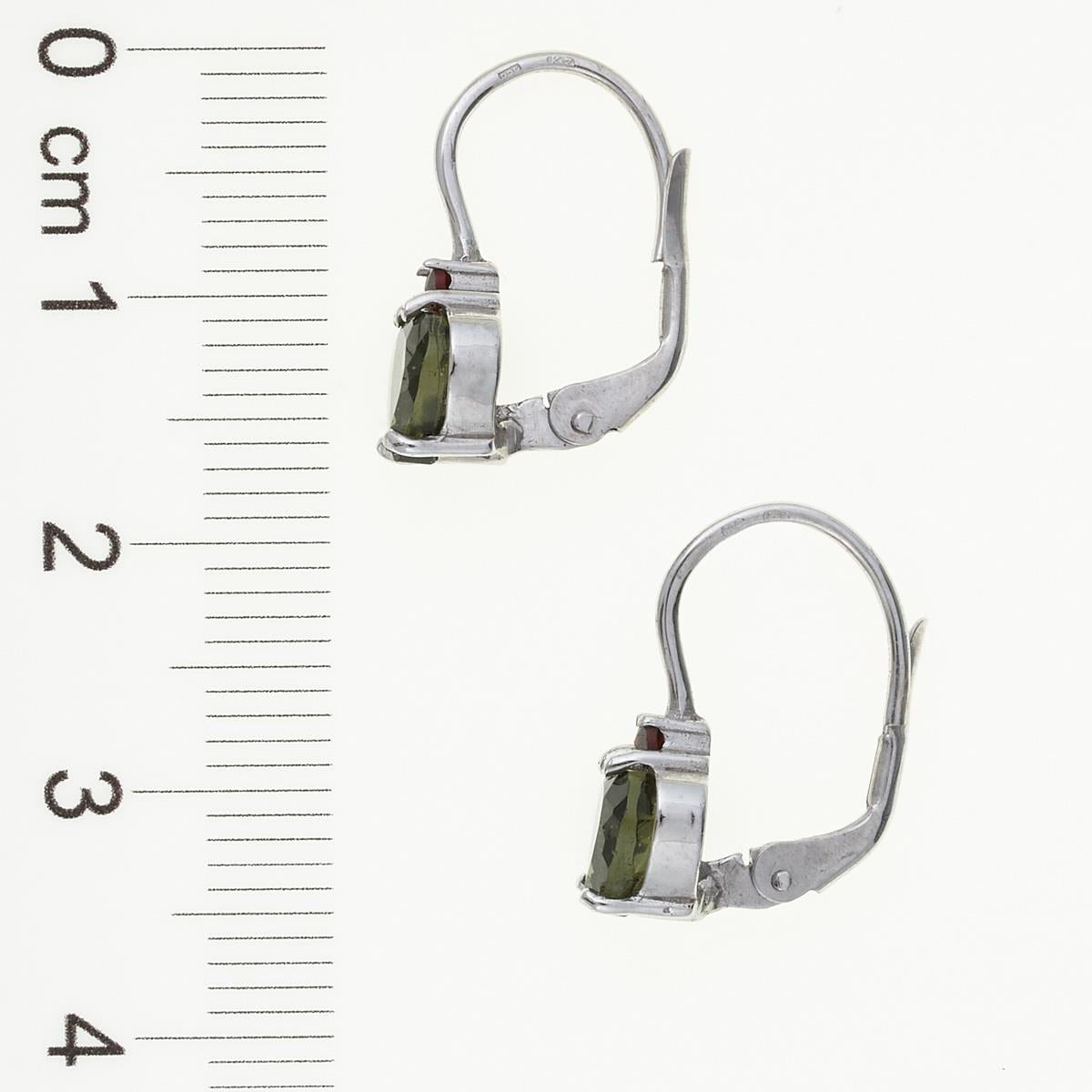 Silver earrings with moldavite and garnets - heart 150G