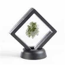 Frame black